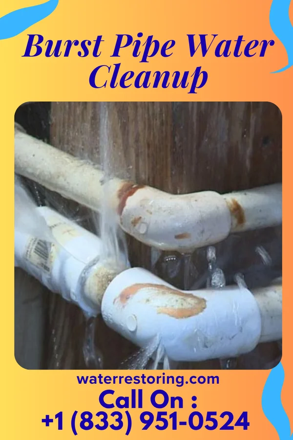 Burst Pipe Water Cleanup in Menard, TX