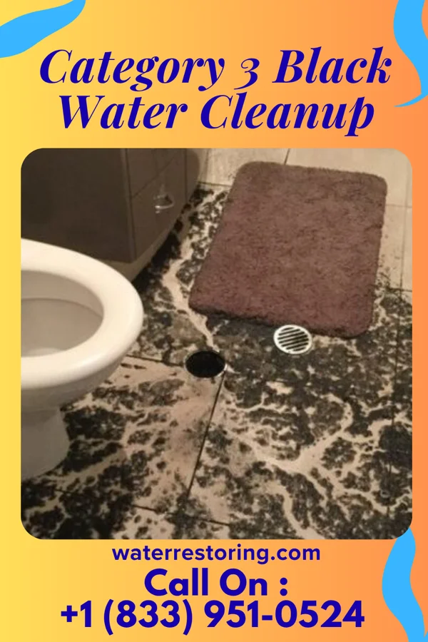 Category 3 Black Water Cleanup in Menard, TX