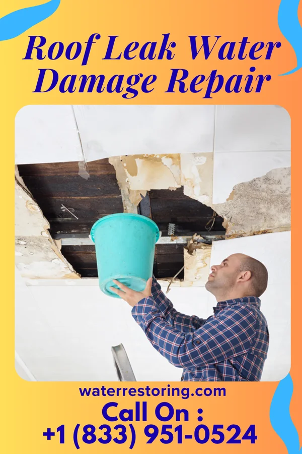 Roof Leak Water Damage Repair in Menard, TX
