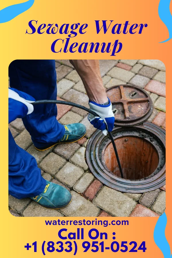 Sewage Water Cleanup in Menard, TX
